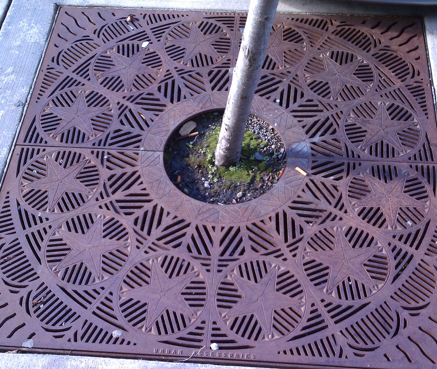 North Star Tree Grate | Spruce & Gander
